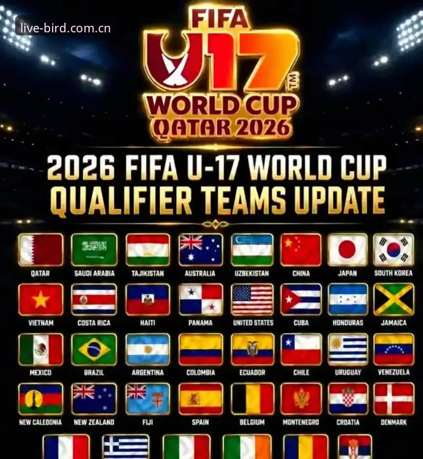 U17世界杯抽签结果出炉，小鸟体育平台观赛实用指南