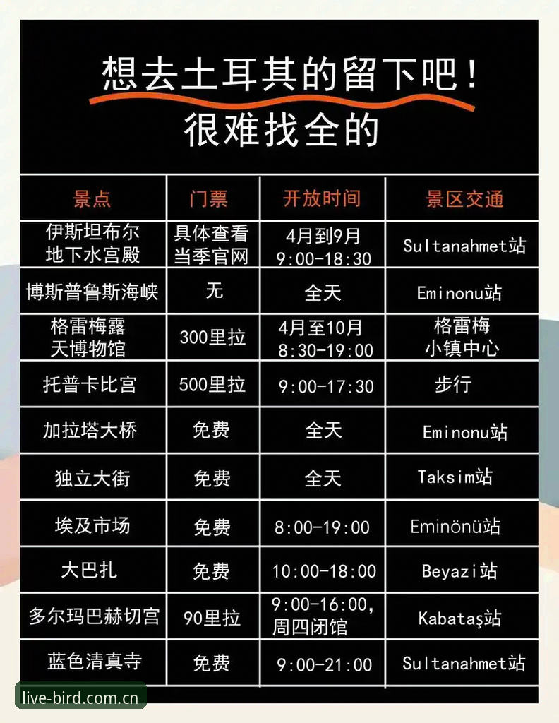小鸟体育数据 掌握世界杯观赛签证难题的实用指南——从小鸟体育平台看约旦土耳其球迷困境