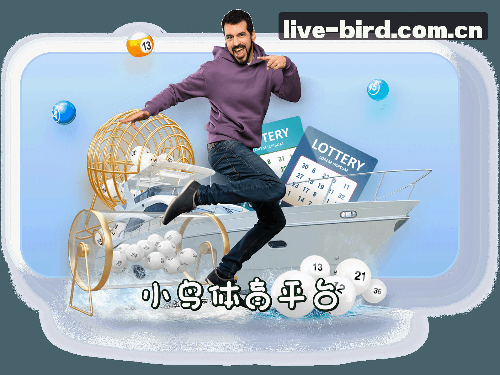 关于我们 - 小鸟体育(bird)官方网站 - 实时比分直播
